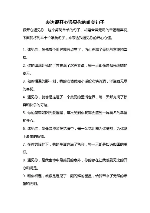 表达很开心遇见你的唯美句子
