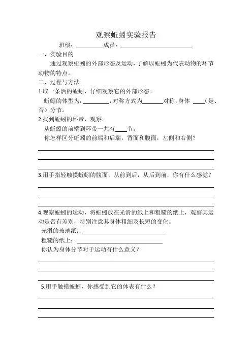 观察蚯蚓实验报告