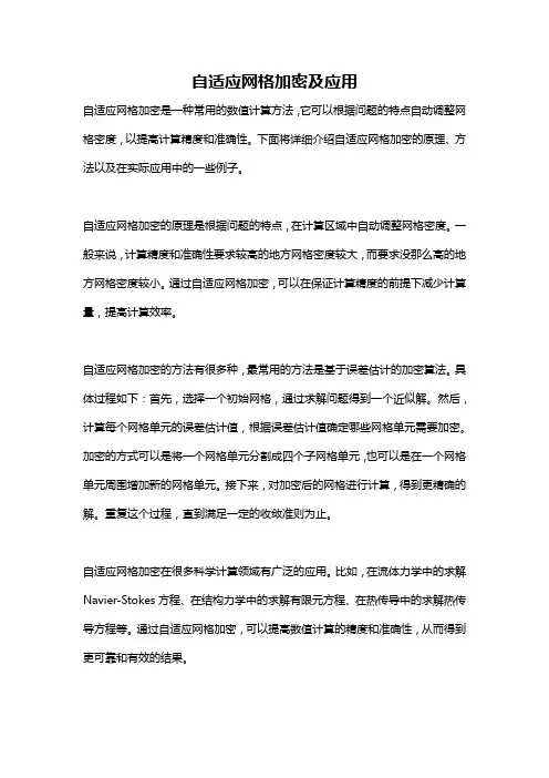 自适应网格加密及应用