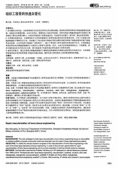 组织工程骨的快速血管化