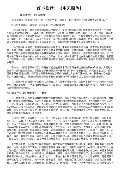 好书推荐：《牛天赐传》