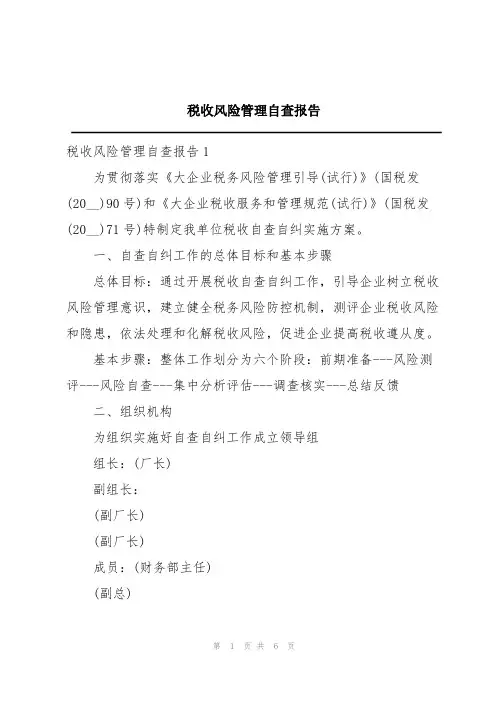 税收风险管理自查报告
