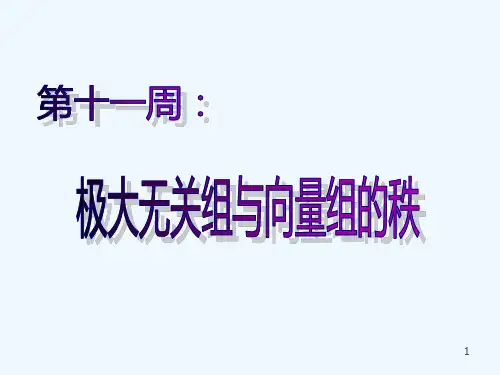 极大无关组与向量组的秩-PPT