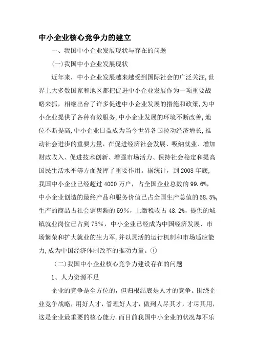 中小企业核心竞争力的建立-最新文档
