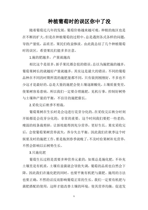 种植葡萄时的误区你中了没