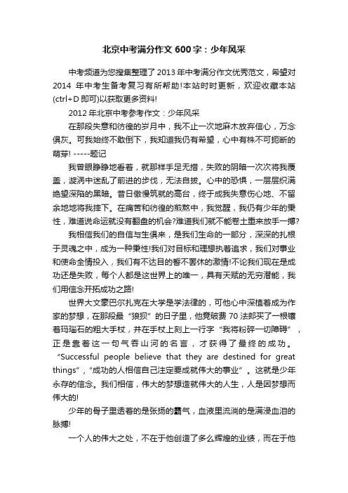 北京中考满分作文600字：少年风采