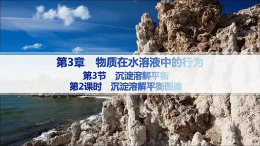 鲁科版高中化学选择性必修1化学反应原理精品课件 第3章 第3节 第2课时 沉淀溶解平衡图像