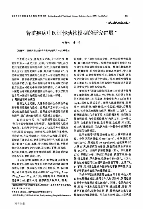 肾脏疾病中医证候动物模型的研究进展