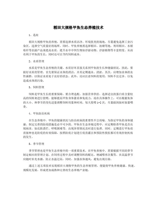 稻田大规格甲鱼生态养殖技术