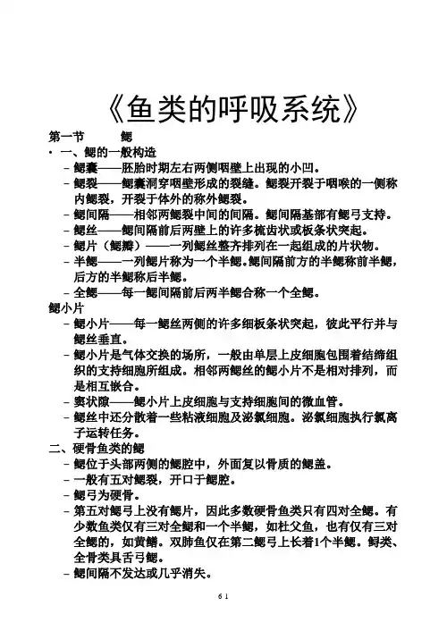 《鱼类的呼吸系统》