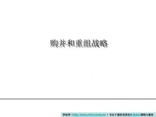 购并和重组战略-PPT精品文档