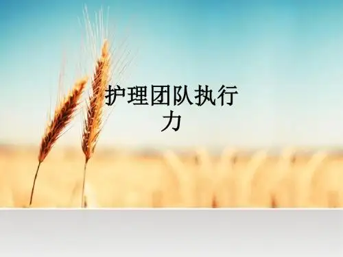 护理团队执行力ppt课件