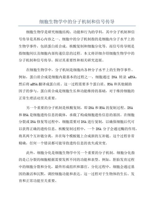细胞生物学中的分子机制和信号传导