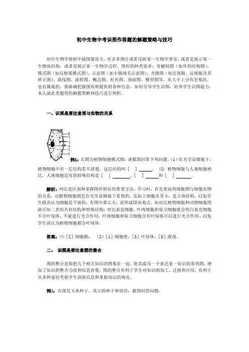 识图作答题的解题策略与技巧