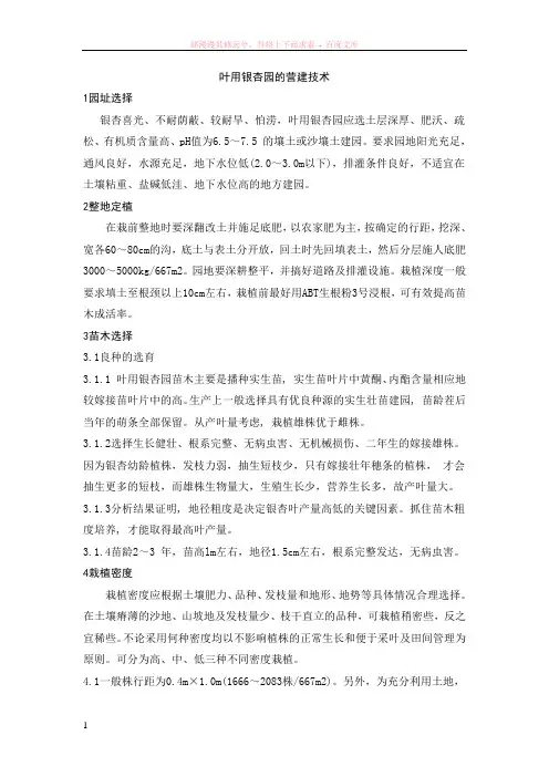 叶用银杏林营造与管理技术
