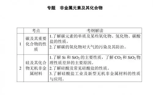 高考化学第二轮复习专题非金属及其化合物PPT课件