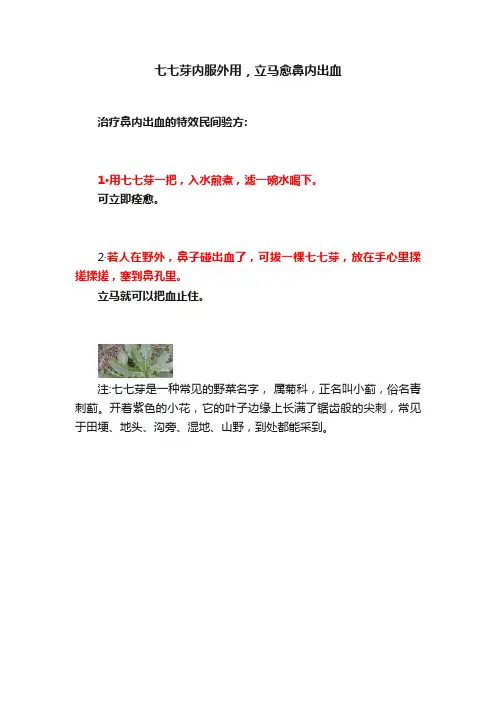 七七芽内服外用，立马愈鼻内出血