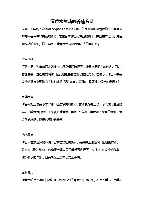 清香木盆栽的养殖方法