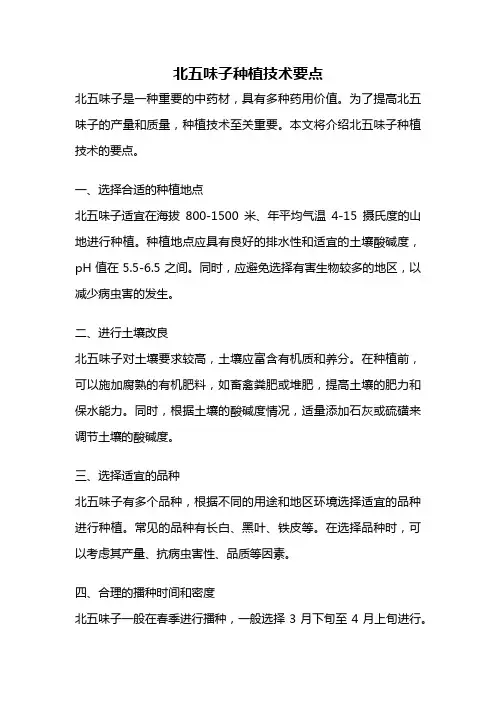 北五味子种植技术要点