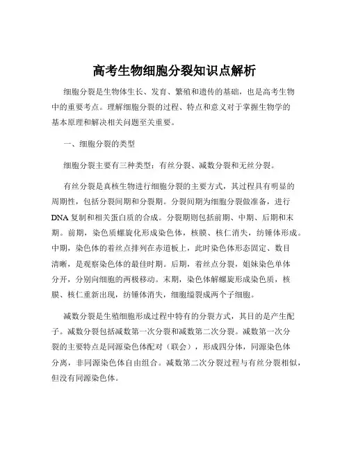 高考生物细胞分裂知识点解析