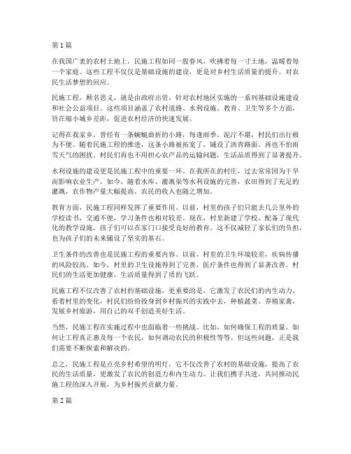 民施工程的作文(3篇)