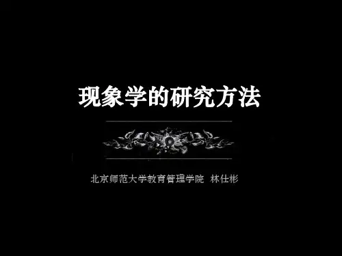 第九讲：现象学、诠释学理论和教育改革