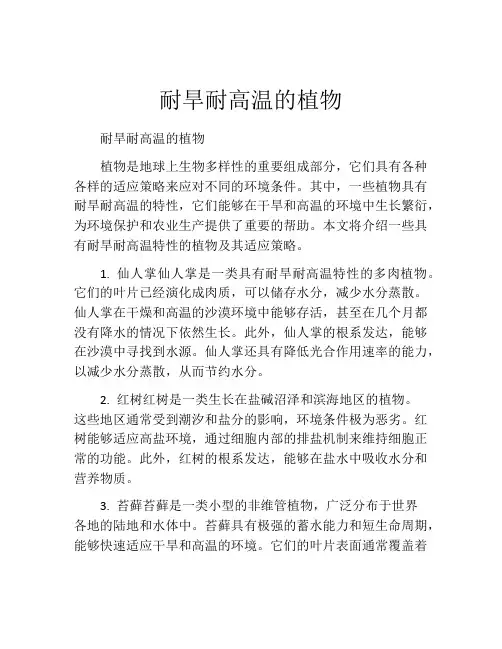耐旱耐高温的植物