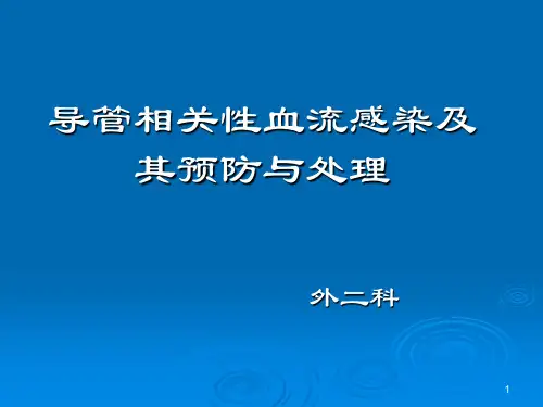 导管相关性血流感染及其预防与处理PPT课件