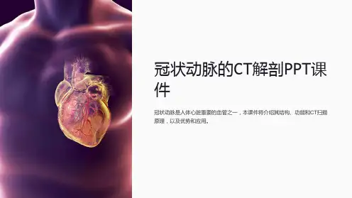 冠状动脉的ct解剖课件