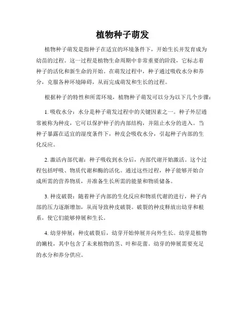 植物种子萌发