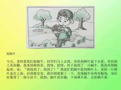一、二年级看图写话小作文