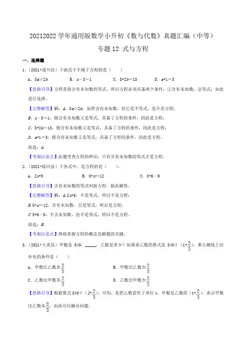 专题12《式与方程》(解析)