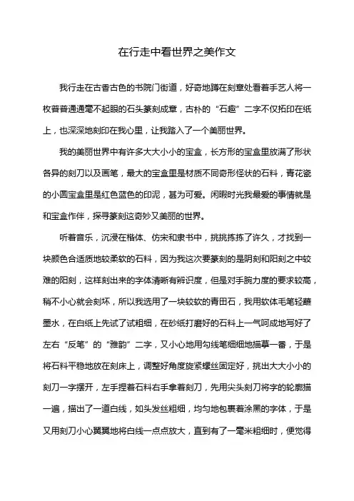 在行走中看世界之美作文