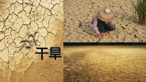 20青山不老课件(共29张PPT).ppt