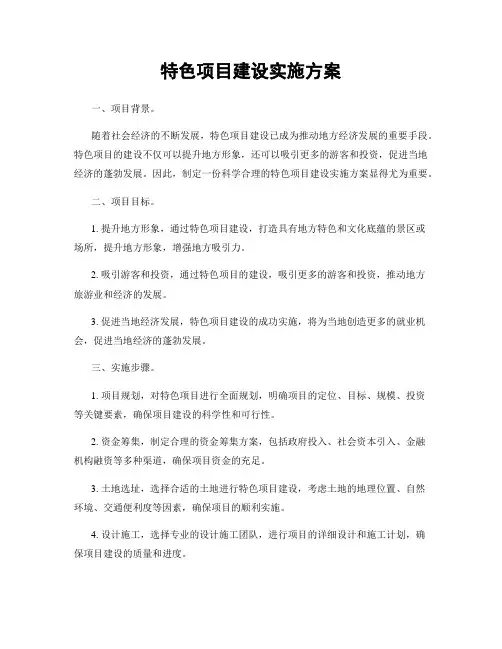 特色项目建设实施方案