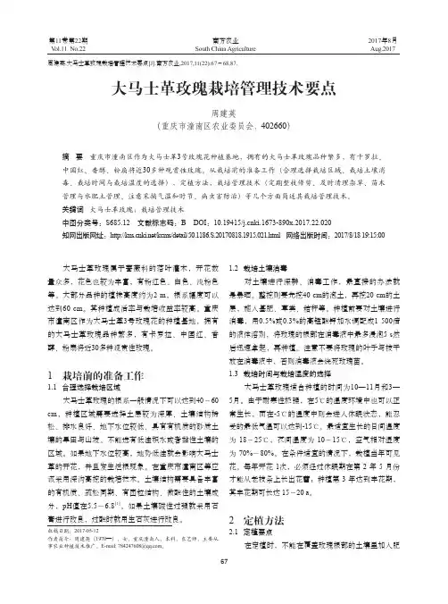 大马士革玫瑰栽培管理技术要点