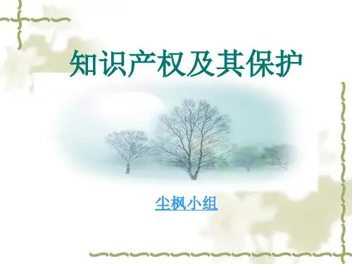 知识产权保护ppt