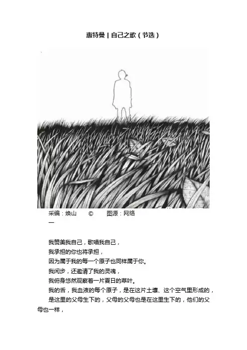 惠特曼丨自己之歌（节选）