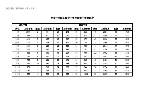 各类岗位工资及薪级工资对照表_文档20