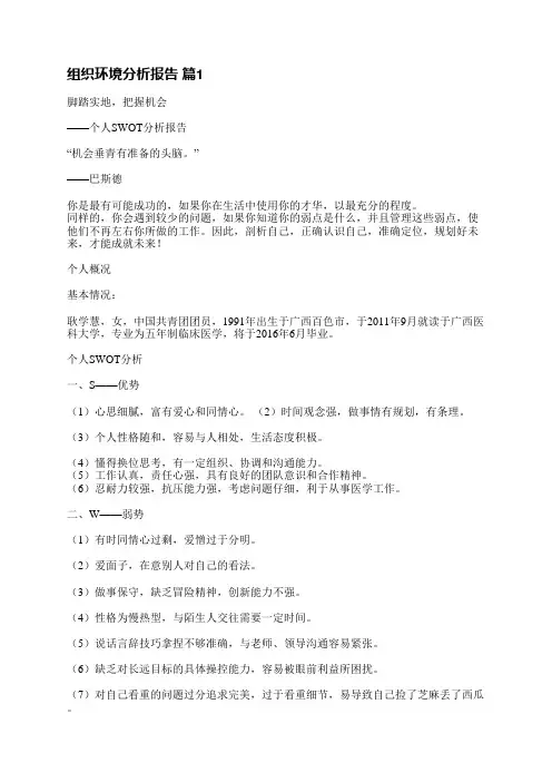 组织环境分析报告(6篇)