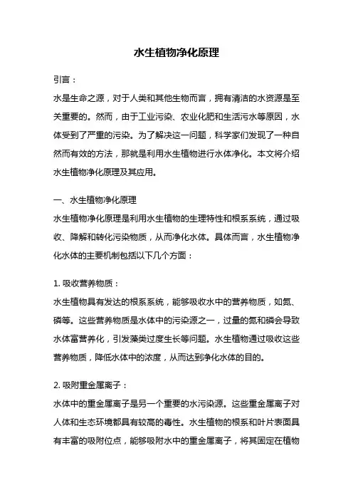水生植物净化原理