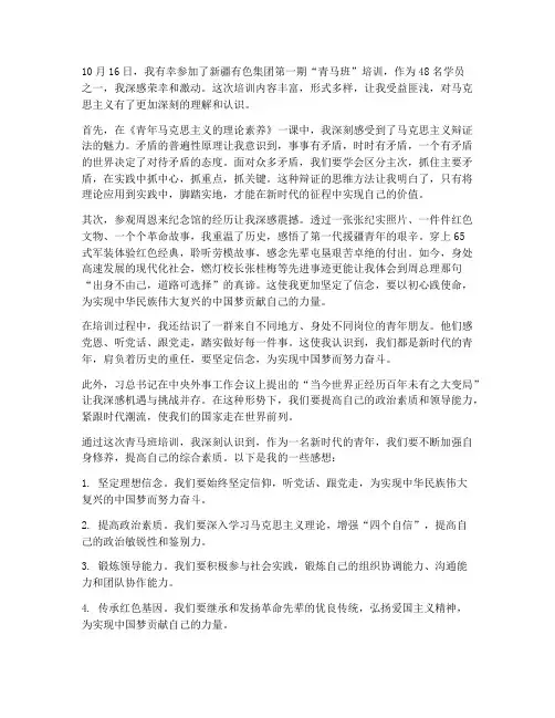 青马班第一次培训感想