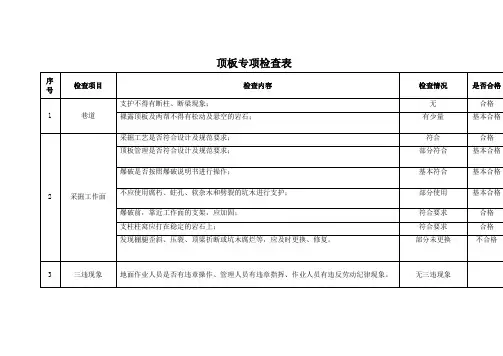 顶板专项检查表