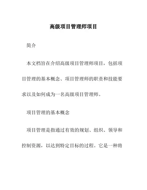 高级项目管理师项目