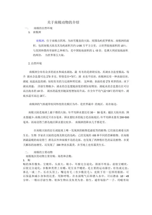关于南极动物的介绍