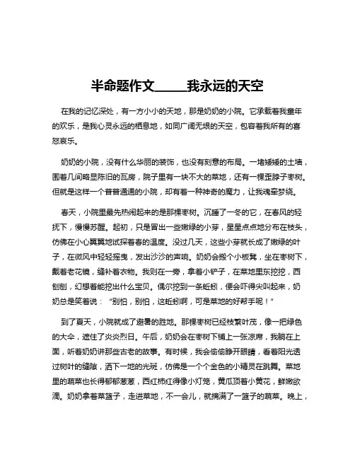 半命题作文_____我永远的天空