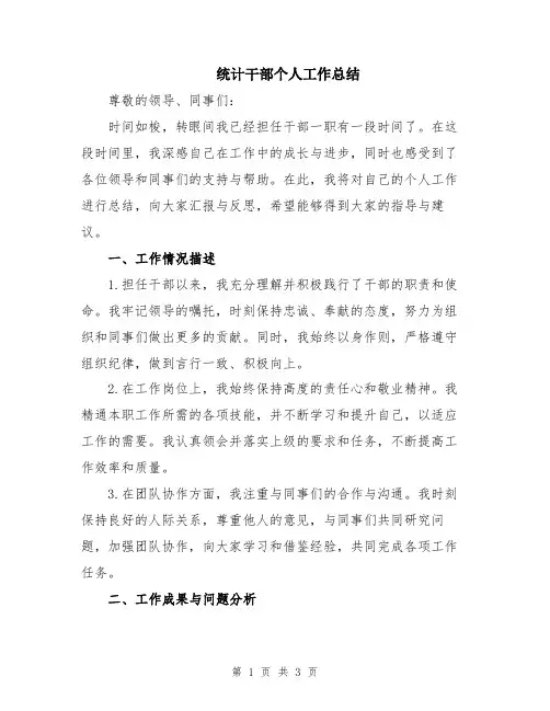 统计干部个人工作总结