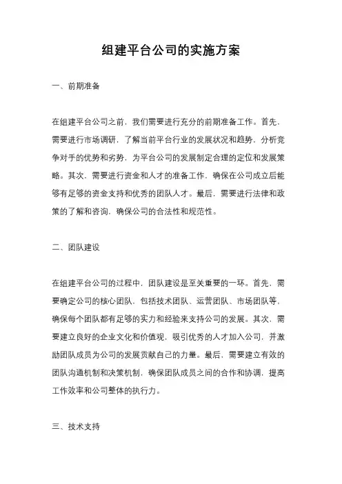组建平台公司的实施方案