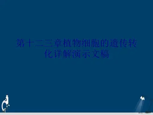 第十二三章植物细胞的遗传转化详解演示文稿