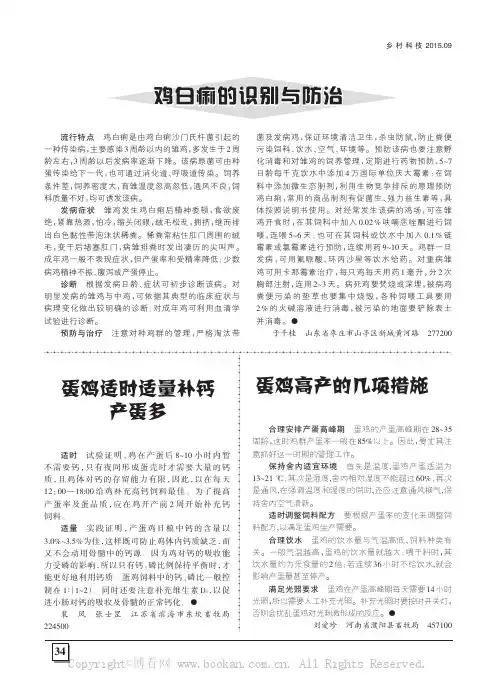 鸡白痢的识别与防治